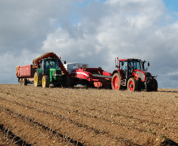 B and F tractors